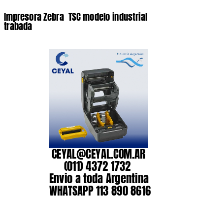 Impresora Zebra  TSC modelo industrial trabada