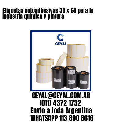 Etiquetas autoadhesivas 30 x 60 para la industria quimica y pintura 