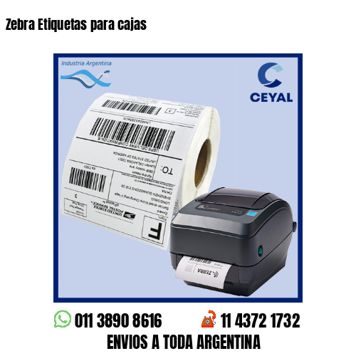 Zebra Etiquetas para cajas