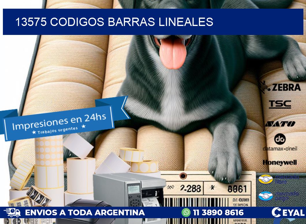 13575 CODIGOS BARRAS LINEALES