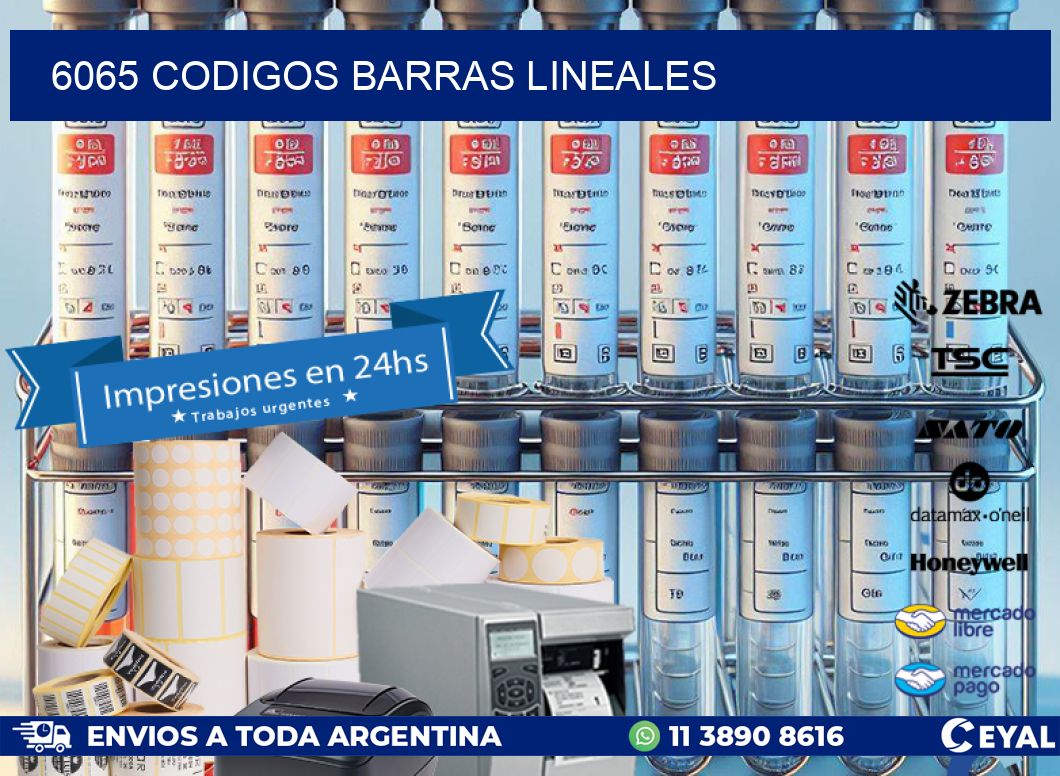 6065 CODIGOS BARRAS LINEALES