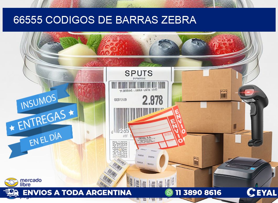 66555 codigos de barras zebra