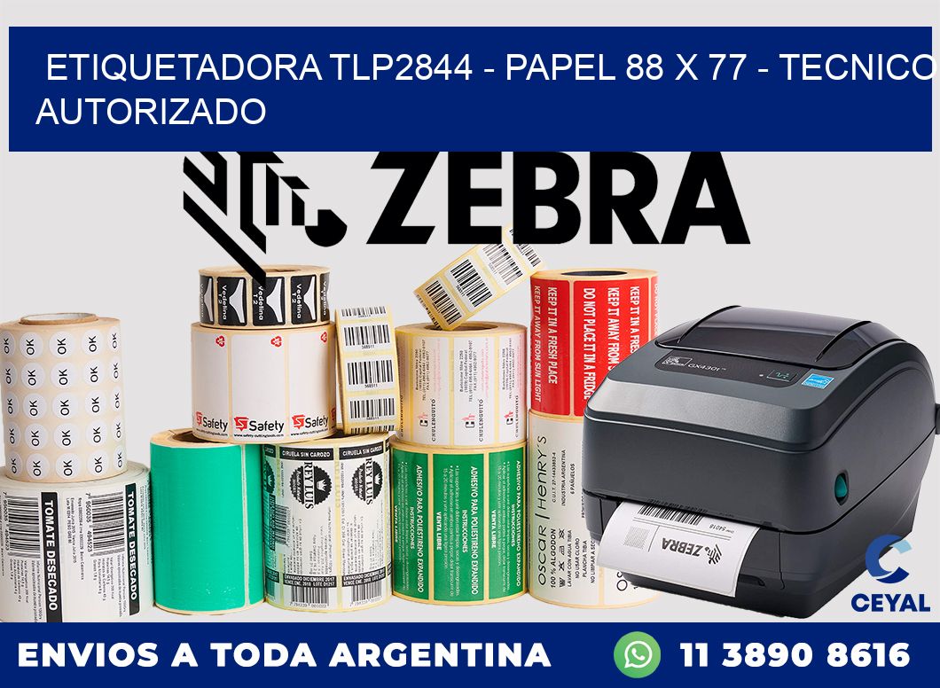 ETIQUETADORA TLP2844 - PAPEL 88 x 77 - TECNICO AUTORIZADO