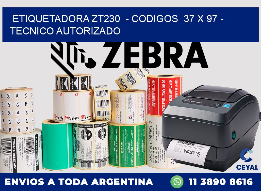 ETIQUETADORA ZT230  - CODIGOS  37 x 97 - TECNICO AUTORIZADO