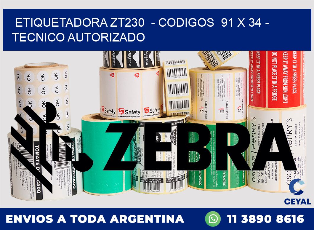 ETIQUETADORA ZT230  - CODIGOS  91 x 34 - TECNICO AUTORIZADO