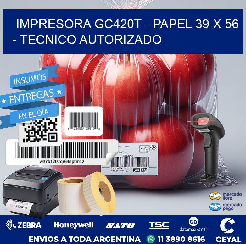 IMPRESORA GC420T - PAPEL 39 x 56 - TECNICO AUTORIZADO