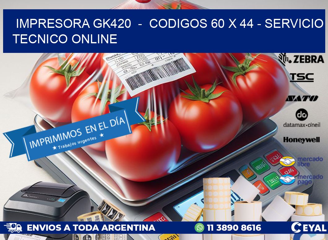 IMPRESORA GK420  -  CODIGOS 60 x 44 - SERVICIO TECNICO ONLINE