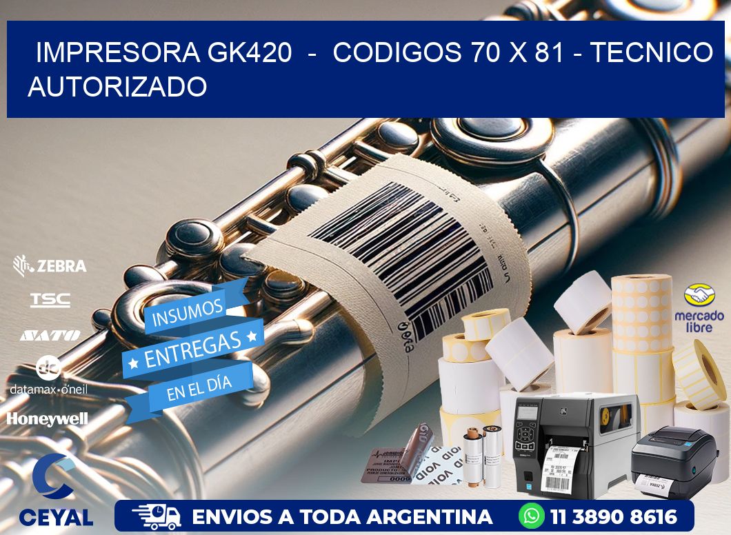 IMPRESORA GK420  -  CODIGOS 70 x 81 - TECNICO AUTORIZADO