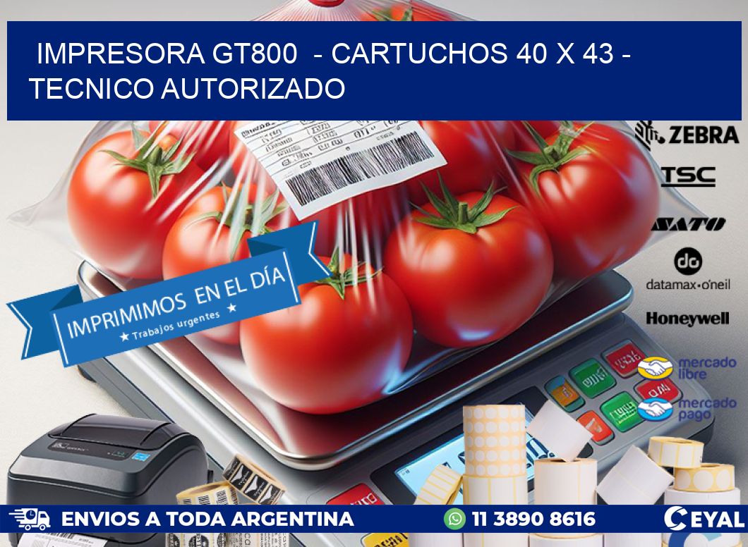 IMPRESORA GT800  - CARTUCHOS 40 x 43 - TECNICO AUTORIZADO