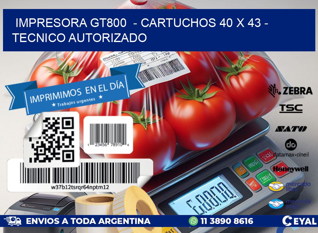 IMPRESORA GT800  – CARTUCHOS 40 x 43 – TECNICO AUTORIZADO