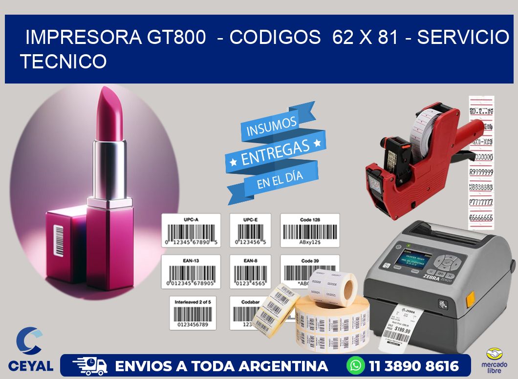 IMPRESORA GT800  - CODIGOS  62 x 81 - SERVICIO TECNICO