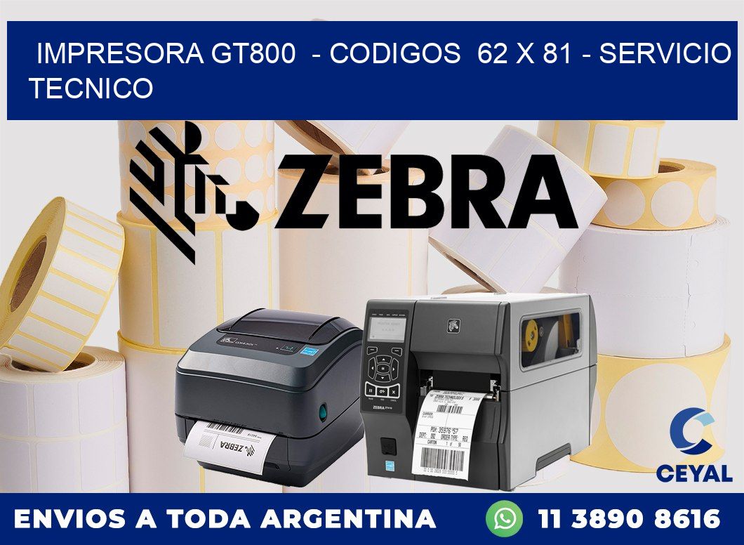 IMPRESORA GT800  - CODIGOS  62 x 81 - SERVICIO TECNICO