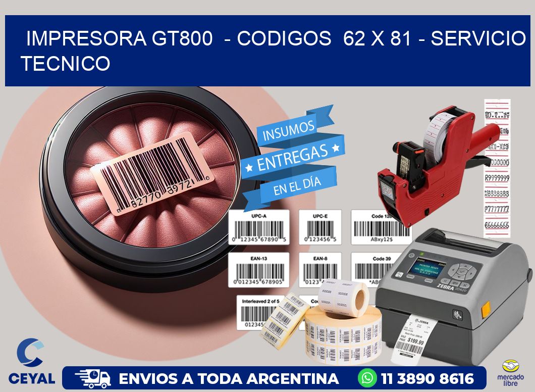 IMPRESORA GT800  – CODIGOS  62 x 81 – SERVICIO TECNICO