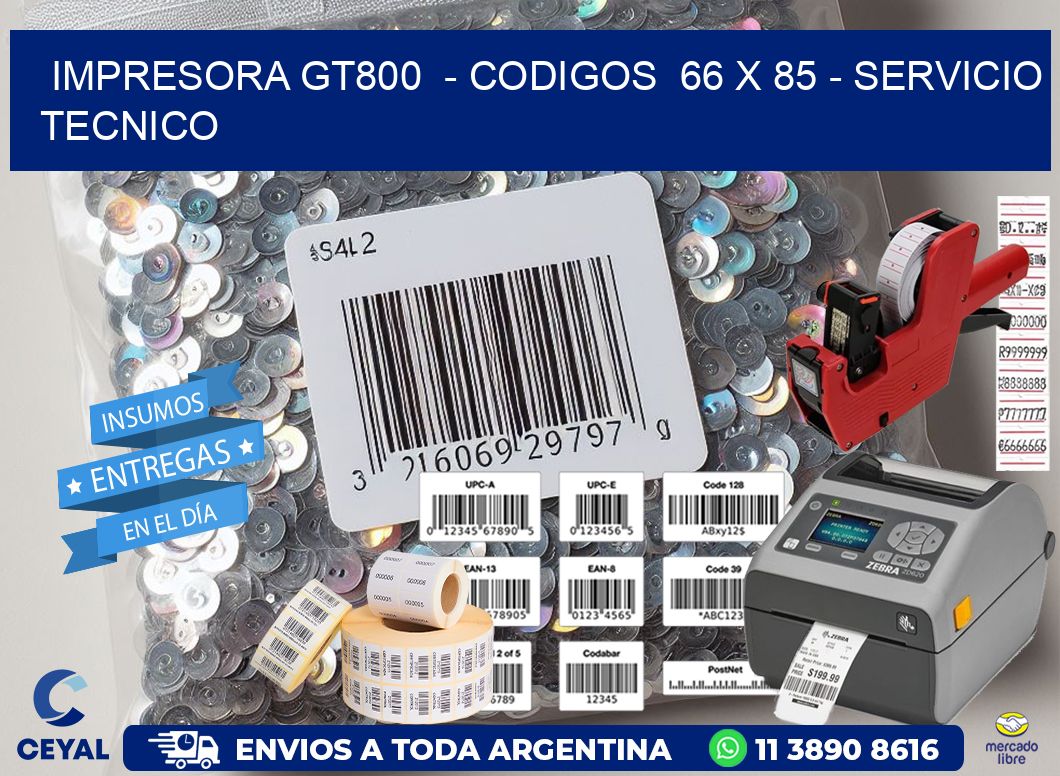 IMPRESORA GT800  - CODIGOS  66 x 85 - SERVICIO TECNICO