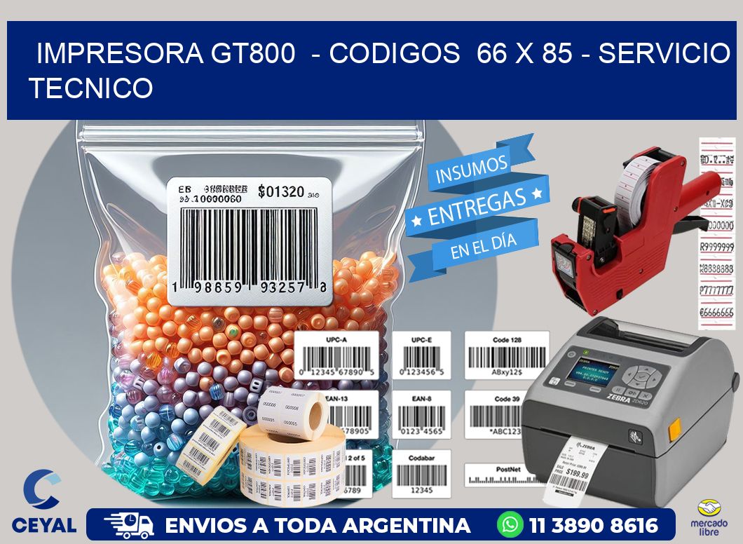 IMPRESORA GT800  - CODIGOS  66 x 85 - SERVICIO TECNICO