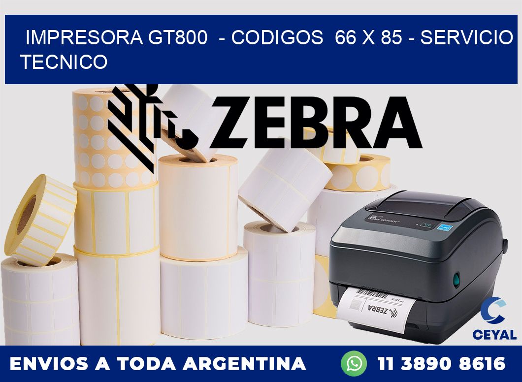 IMPRESORA GT800  - CODIGOS  66 x 85 - SERVICIO TECNICO