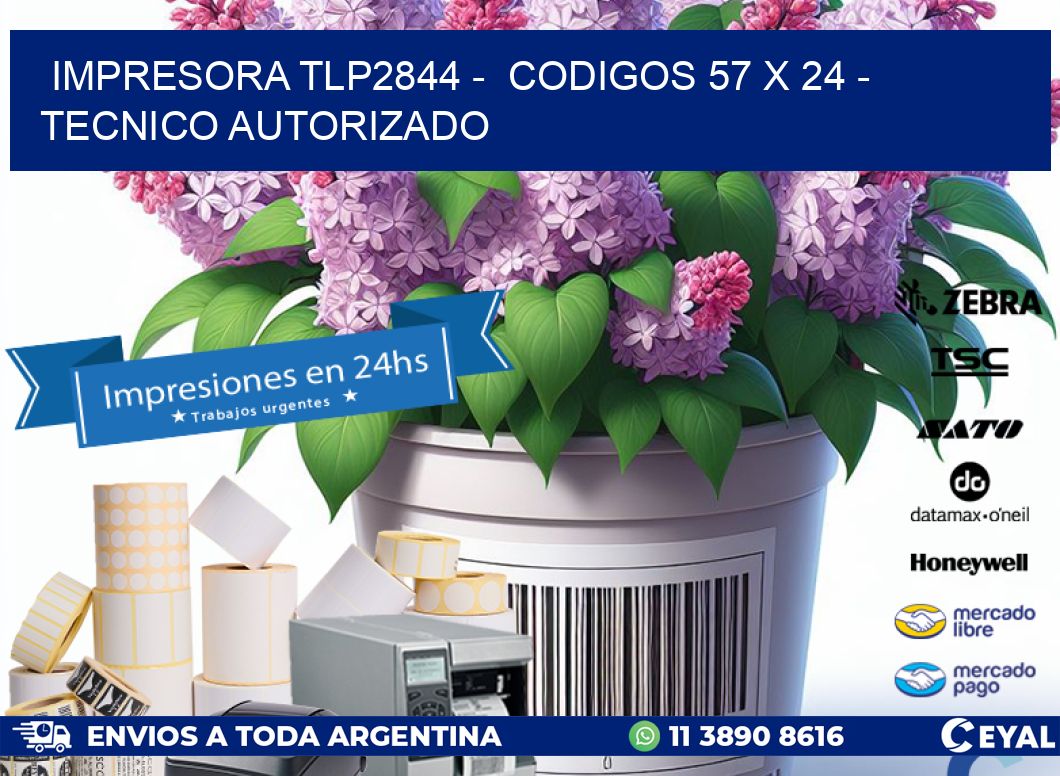 IMPRESORA TLP2844 -  CODIGOS 57 x 24 - TECNICO AUTORIZADO