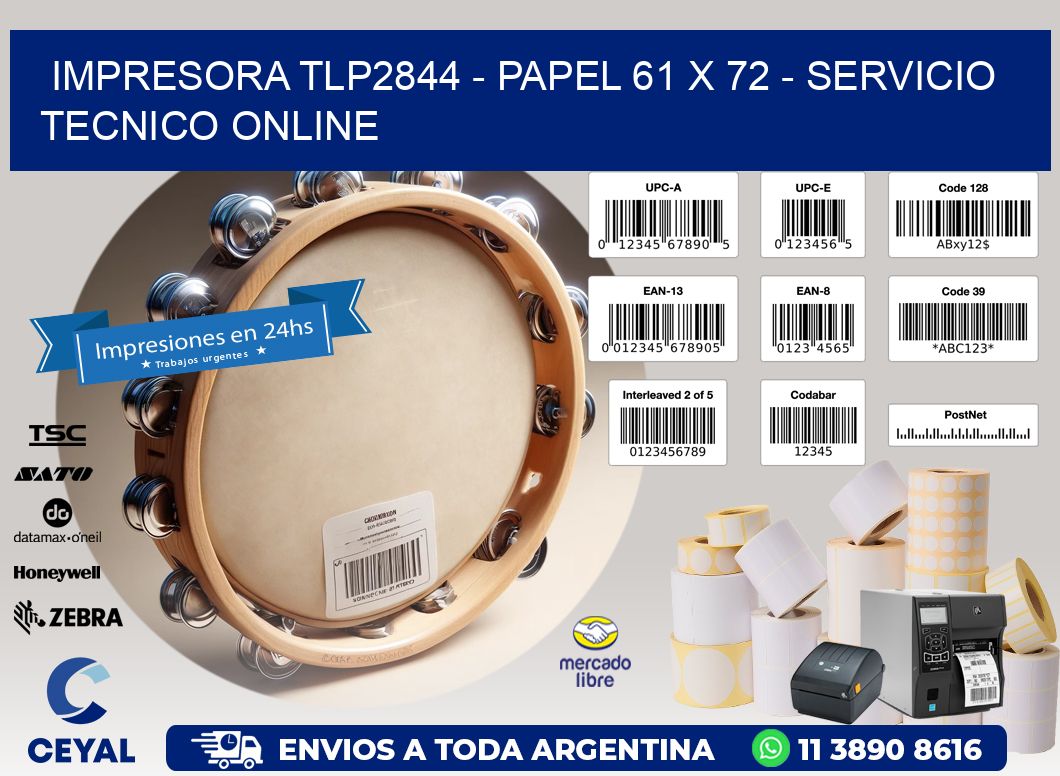 IMPRESORA TLP2844 - PAPEL 61 x 72 - SERVICIO TECNICO ONLINE