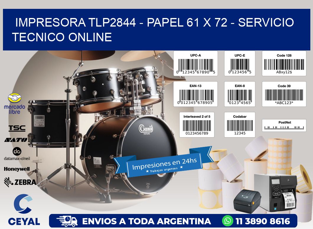 IMPRESORA TLP2844 - PAPEL 61 x 72 - SERVICIO TECNICO ONLINE