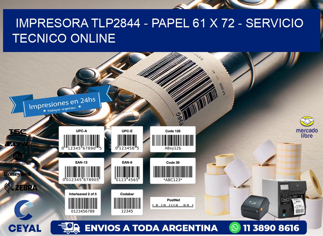 IMPRESORA TLP2844 – PAPEL 61 x 72 – SERVICIO TECNICO ONLINE