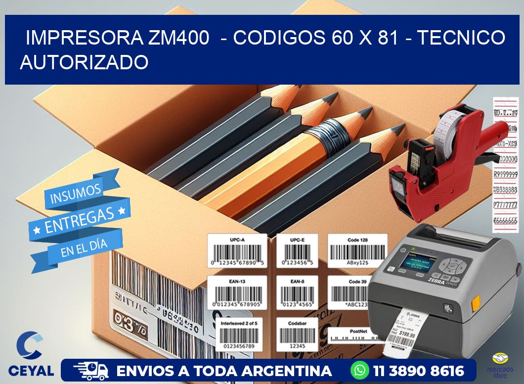 IMPRESORA ZM400  - CODIGOS 60 x 81 - TECNICO AUTORIZADO