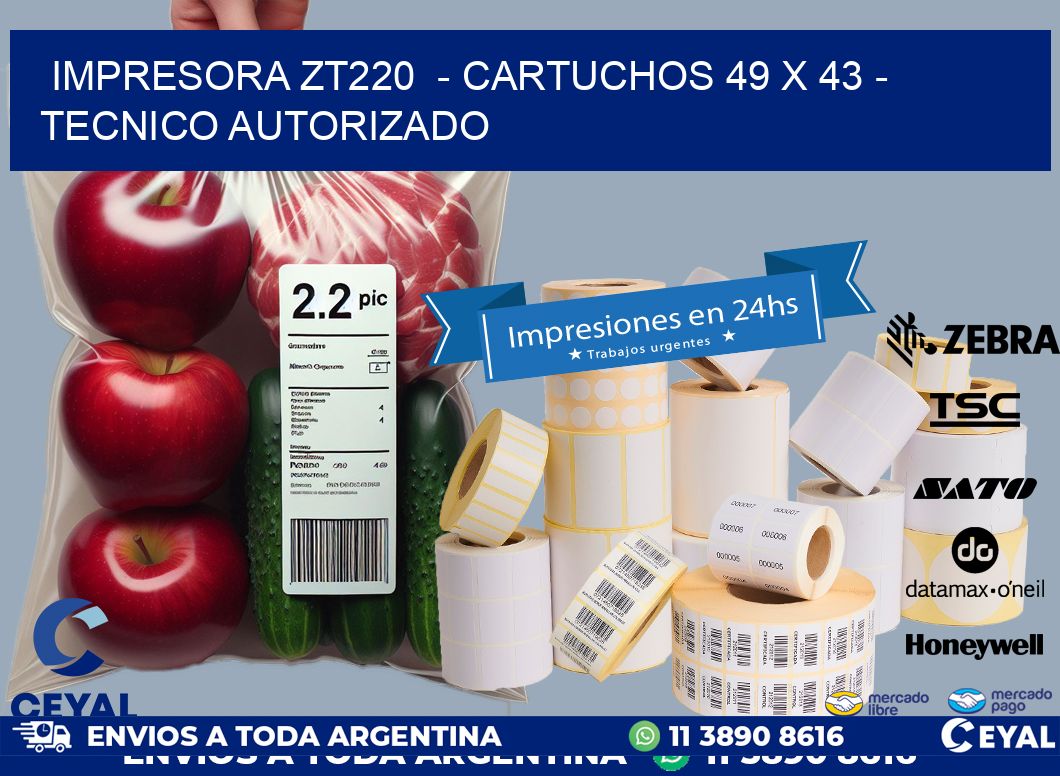 IMPRESORA ZT220  - CARTUCHOS 49 x 43 - TECNICO AUTORIZADO