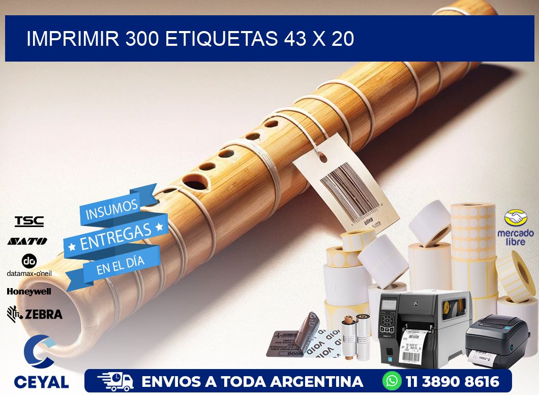 IMPRIMIR 300 ETIQUETAS 43 x 20