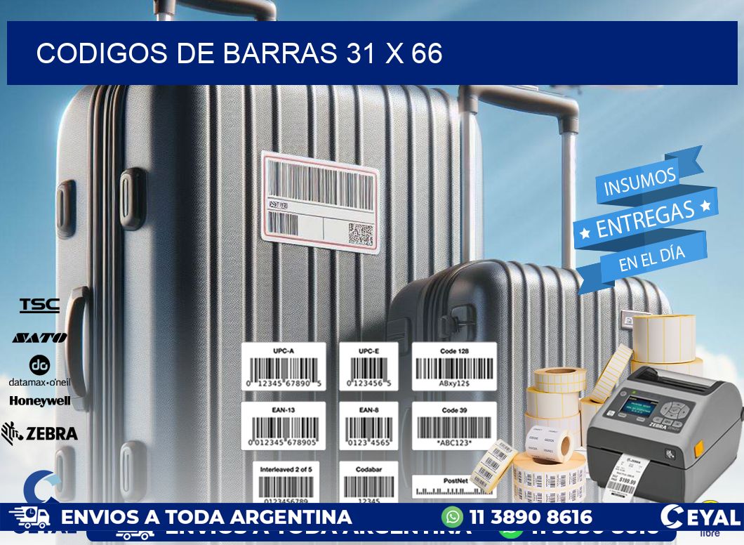 codigos de barras 31 x 66