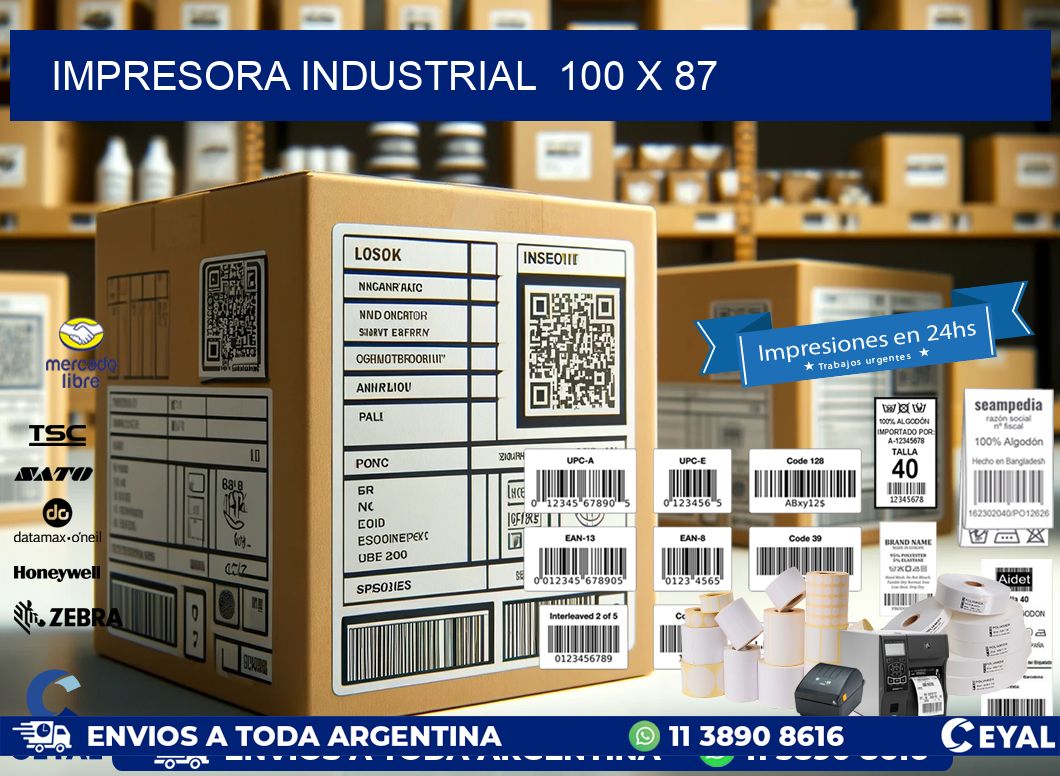 impresora industrial  100 x 87