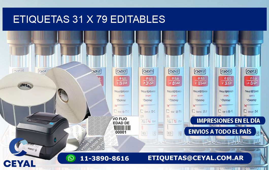 ETIQUETAS 31 x 79 EDITABLES