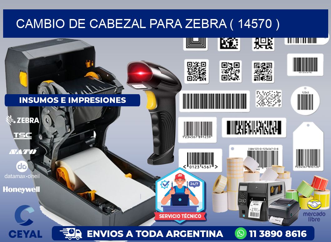 CAMBIO DE CABEZAL PARA ZEBRA ( 14570 )