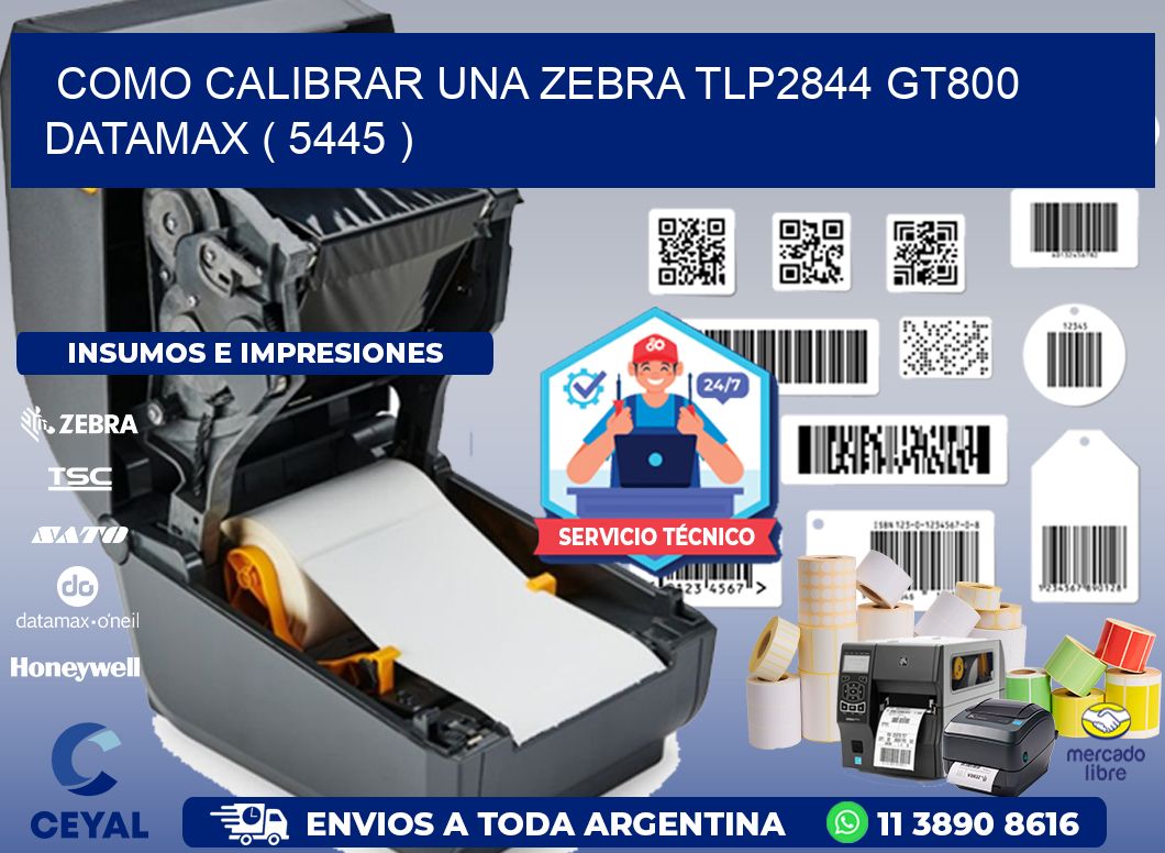 COMO CALIBRAR UNA ZEBRA TLP2844 GT800 DATAMAX ( 5445 )