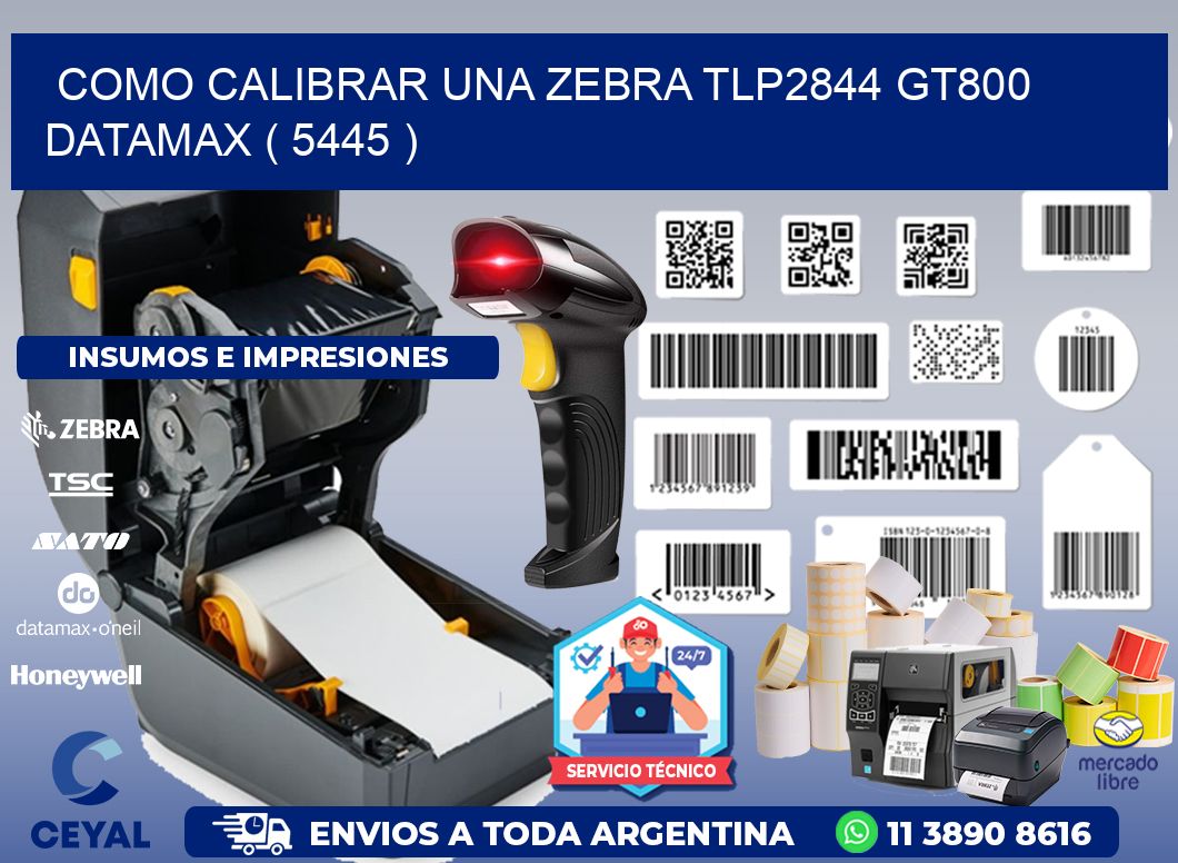 COMO CALIBRAR UNA ZEBRA TLP2844 GT800 DATAMAX ( 5445 )