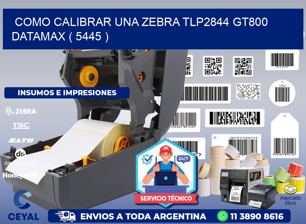 COMO CALIBRAR UNA ZEBRA TLP2844 GT800 DATAMAX ( 5445 )