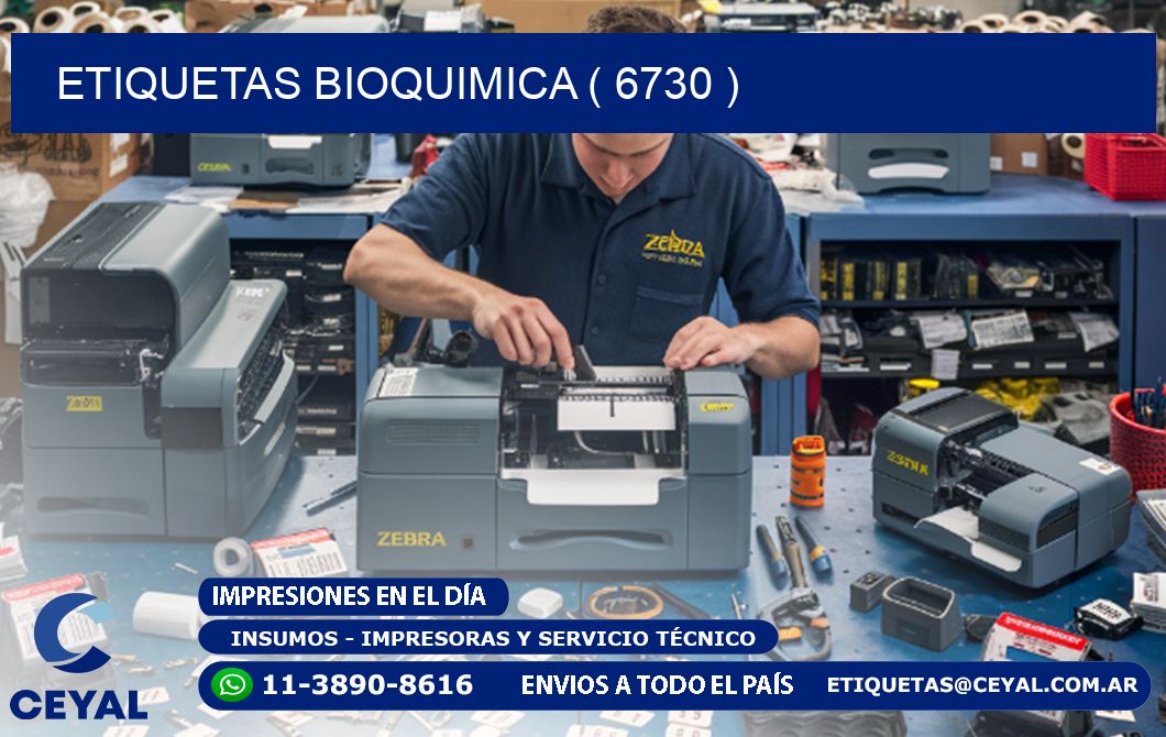 ETIQUETAS BIOQUIMICA ( 6730 )