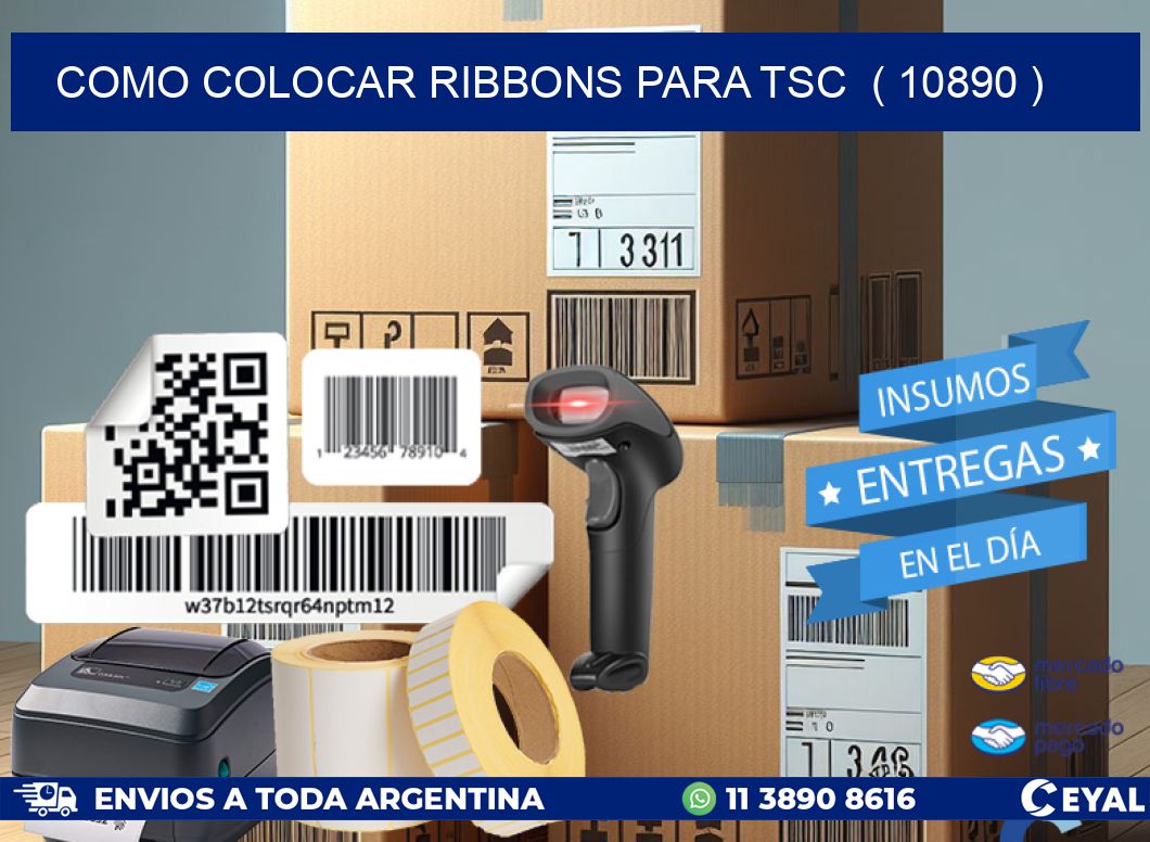 COMO COLOCAR RIBBONS PARA TSC  ( 10890 )