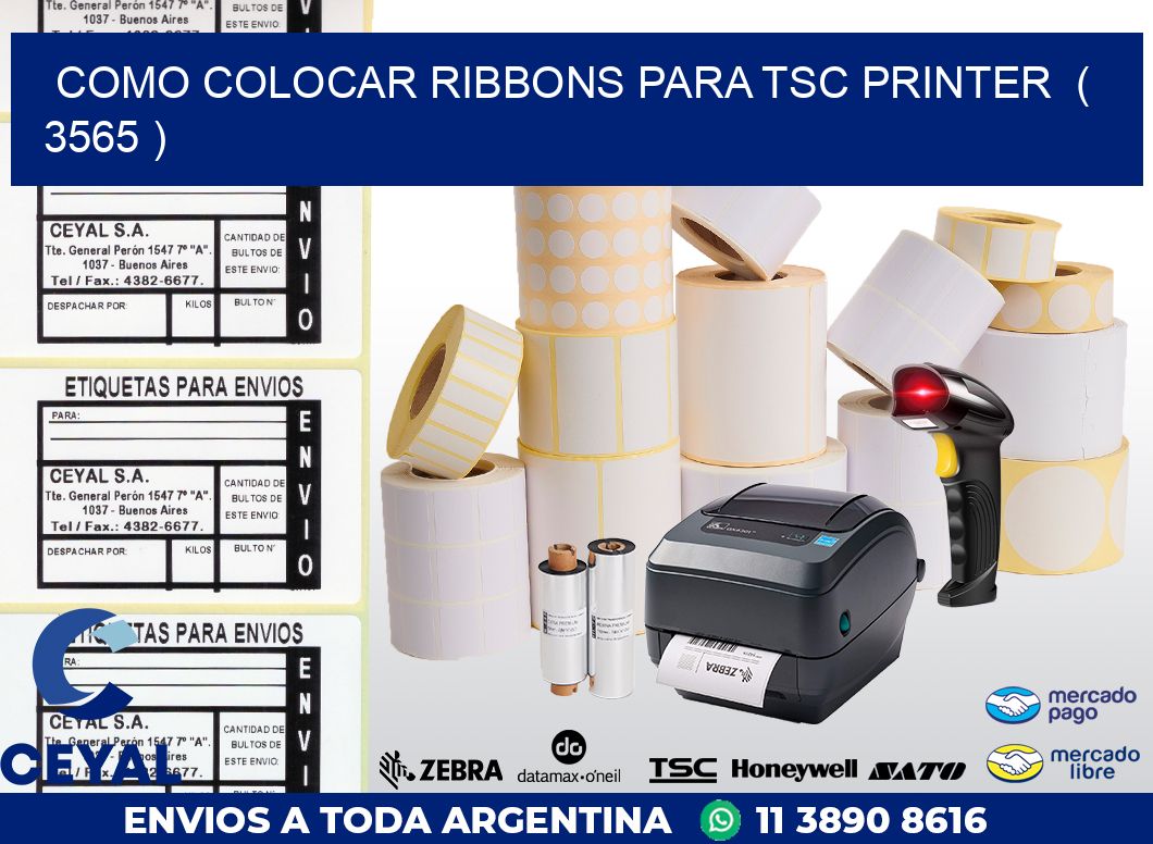 COMO COLOCAR RIBBONS PARA TSC PRINTER  ( 3565 )