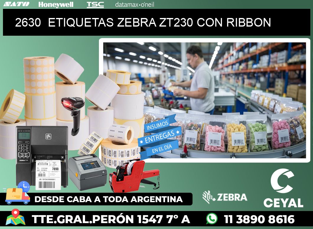 2630  ETIQUETAS ZEBRA ZT230 CON RIBBON