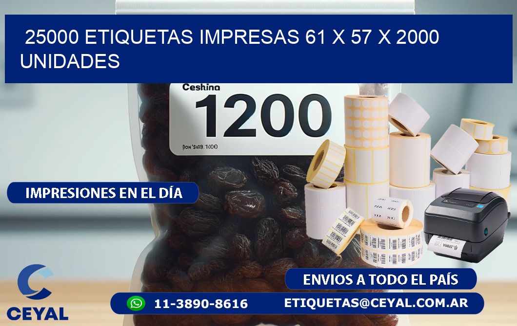 25000 ETIQUETAS IMPRESAS 61 x 57 X 2000 UNIDADES