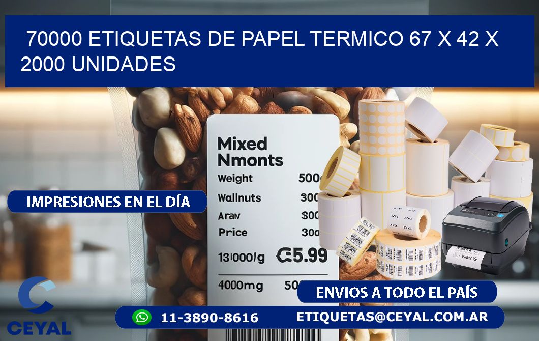 70000 ETIQUETAS DE PAPEL TERMICO 67 x 42 X 2000 UNIDADES