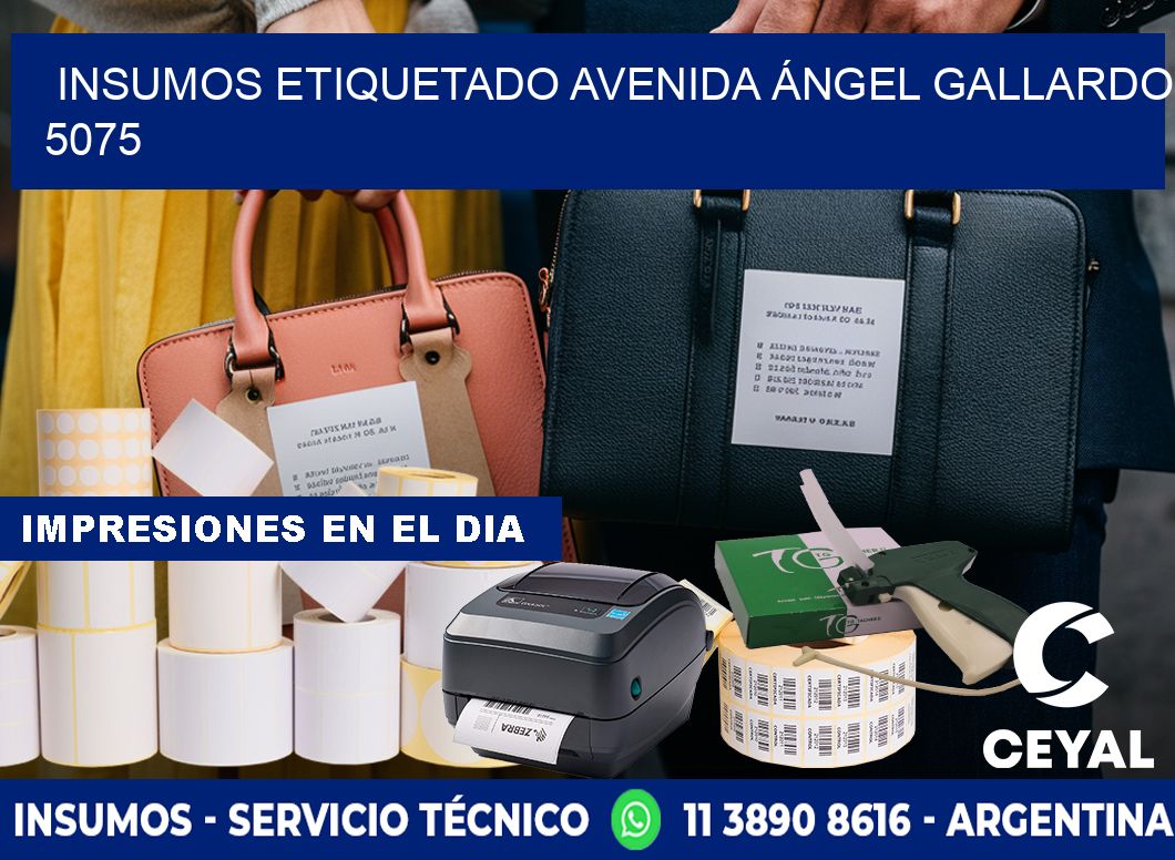 INSUMOS ETIQUETADO Avenida Ángel Gallardo 5075