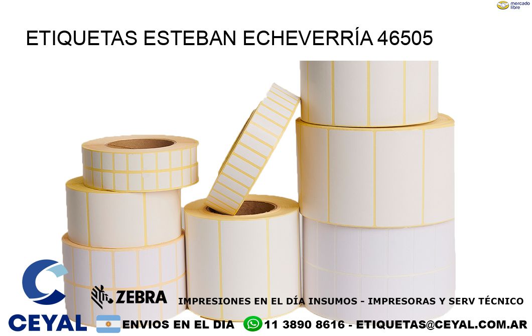 ETIQUETAS ESTEBAN ECHEVERRÍA 46505